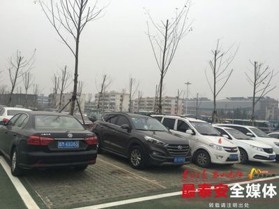 泰安春節(jié)期間生態(tài)停車(chē)場(chǎng)暖心服務(wù)獲游客點(diǎn)贊